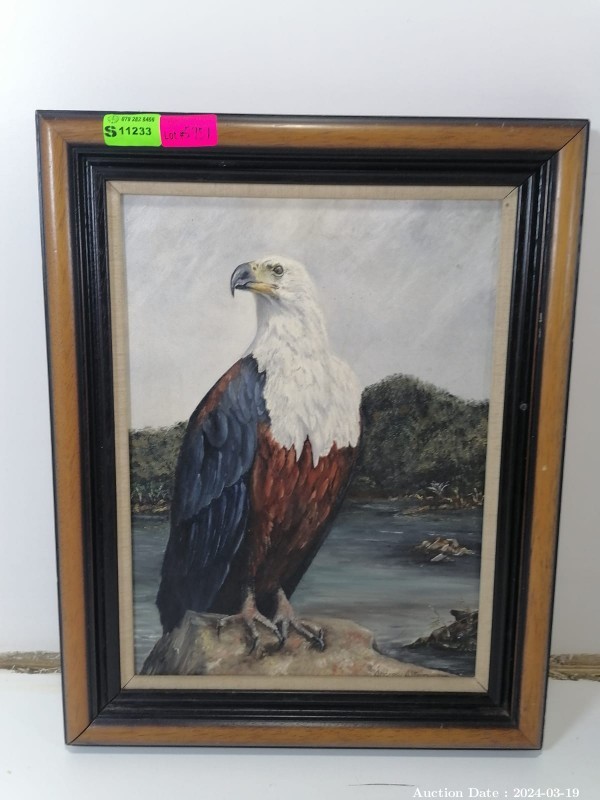 Lot 5951 - Stunning Fish Eagle Portrait - Signed Andrew Elton