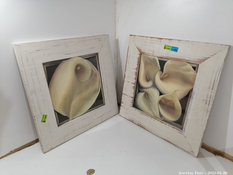 459 - Pair of Framed Arum Lily Paintings