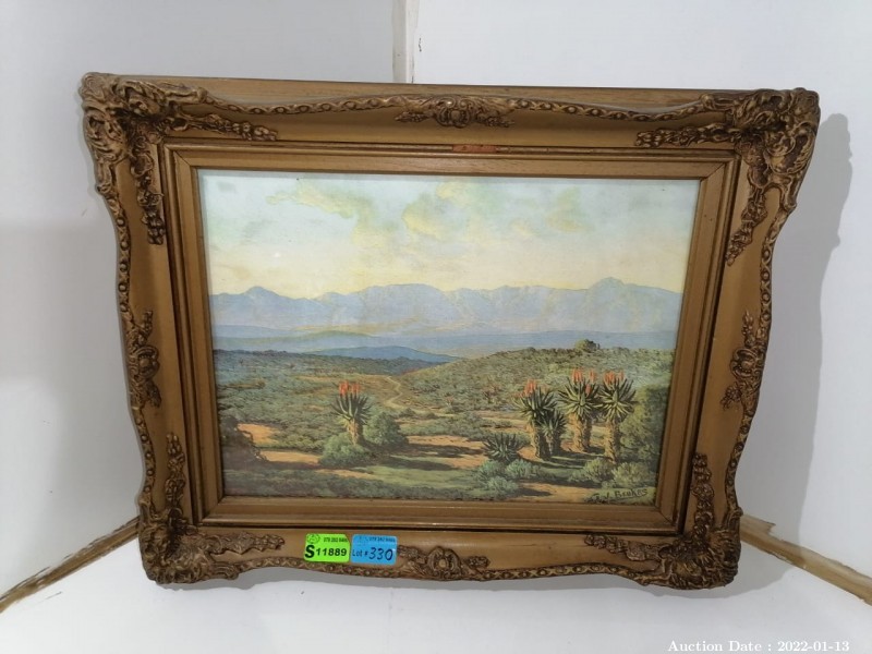 330 - Aloes Painting by GJ Beukes in Ornate Vintage Frame