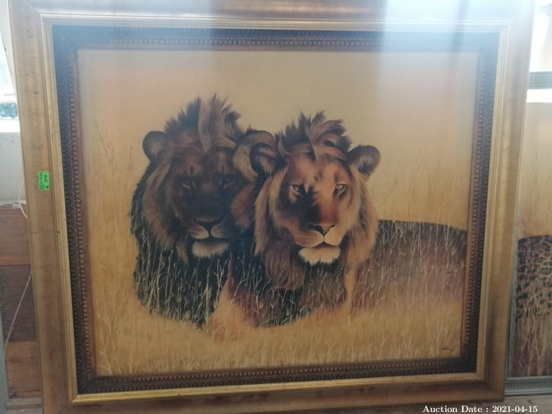 123 Pair of Male Lions by Michael Costello