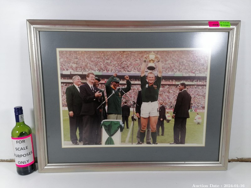 4308 - Special Framed 1995 World Cup Picture