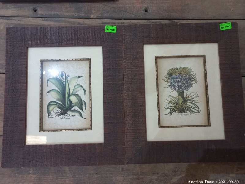 605 - Pair of Framed Botanical Prints
