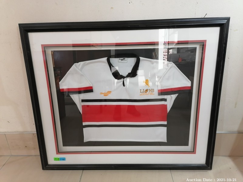 100 - Framed Lions Junior Memorabilia - Team Jersey in Frame