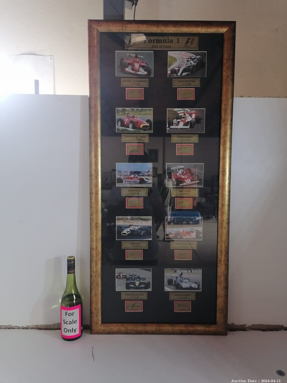 6557-Formula 1 Hall Of Frame Picture