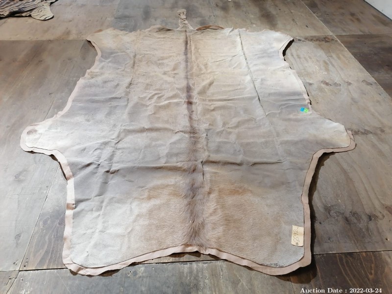 1215 - Large Cow Skin with Lining