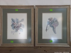 Description 609- Pair of Beautifully Framed Fruit Botanical Prints