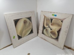 Description 459 - Pair of Framed Arum Lily Paintings