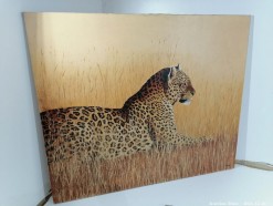 Description 784 - Leopard signed Costello