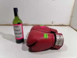 Description 2656 - Trojan 10 oz Boxing Gloves