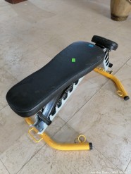 Description 489 - Adjustable Gym Bench