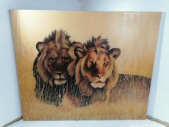 Description 783 -Pair of  Lions signed Costello
