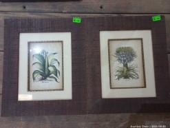 Description 605 - Pair of Framed Botanical Prints